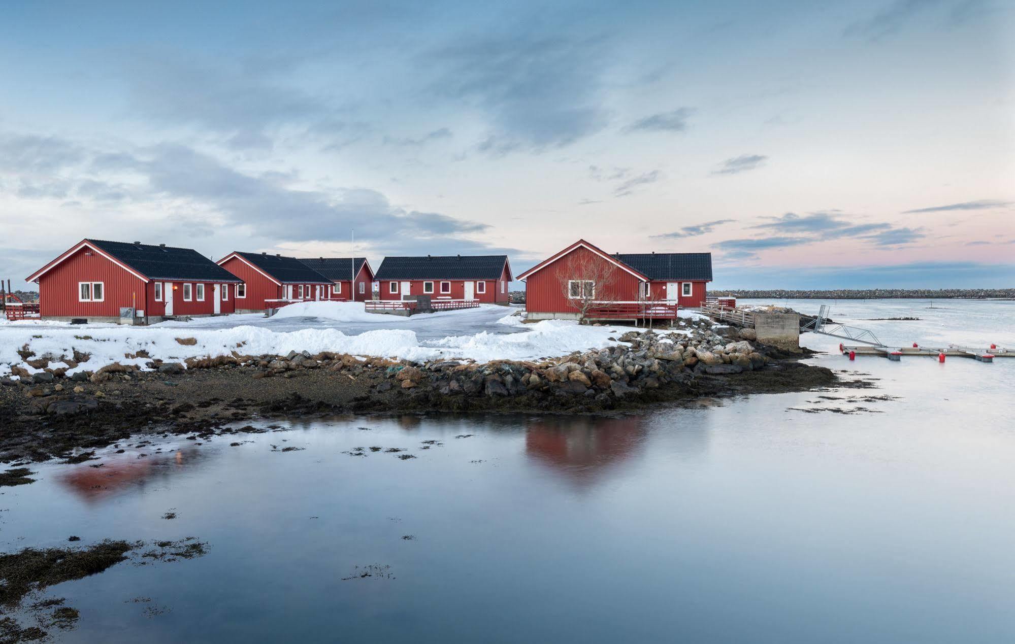 Lankanholmen Sea Cabins 안데네스 외부 사진